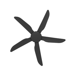 Without Light Storm Ceiling Fan Black