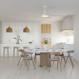 With Light Storm Ceiling Fan White with Light