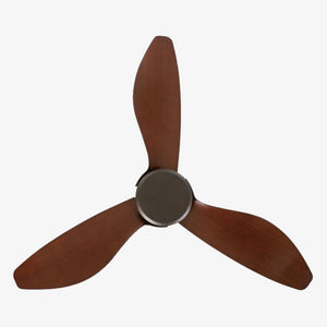 Without Light Torquay Ceiling Fan Oil Rubbed Bronze with Koa Blades