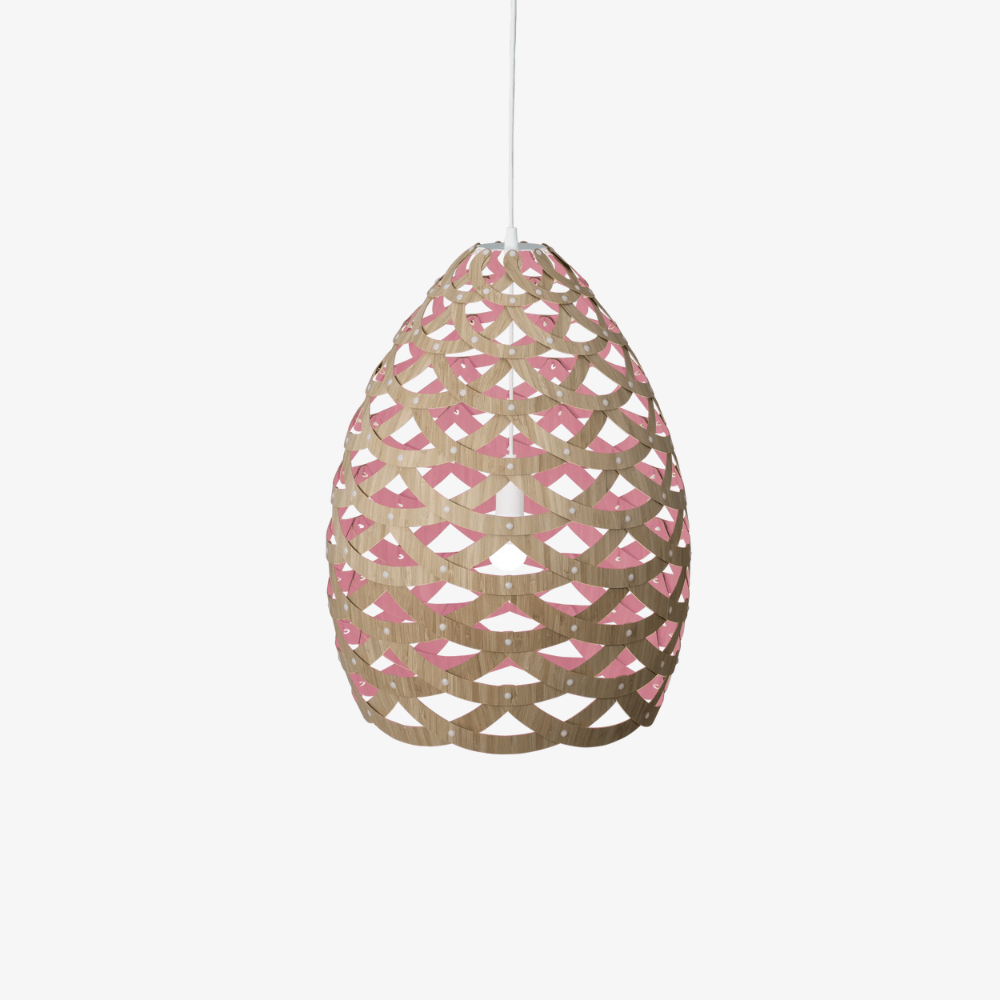 Interior Pendant Tui Pendant