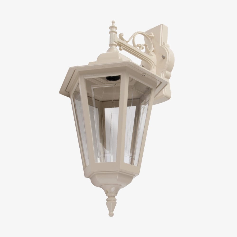 Exterior Wall Light Turin Large Downward Wall Light