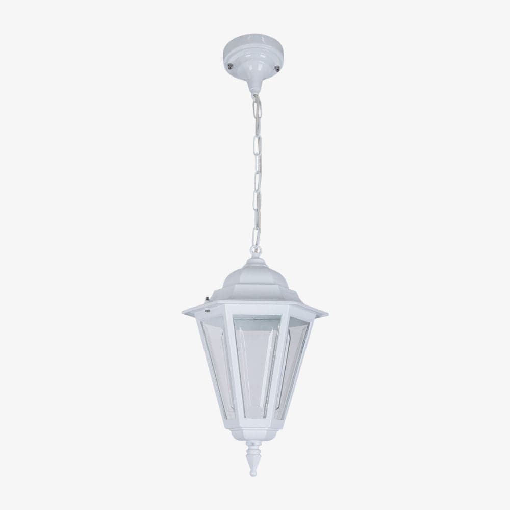 Exterior Pendant Turin Pendant Light