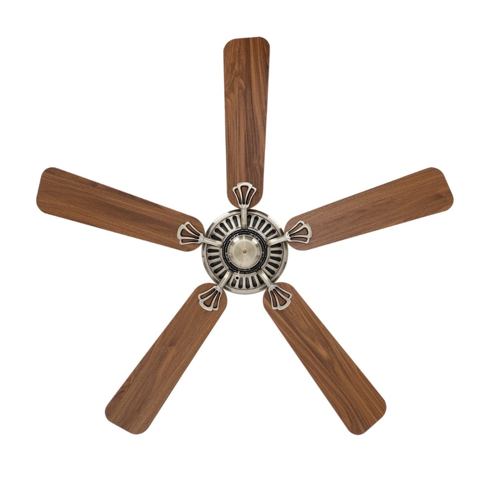 Without Light Waikiki Ceiling Fan Antique Bronze with Walnut Blades