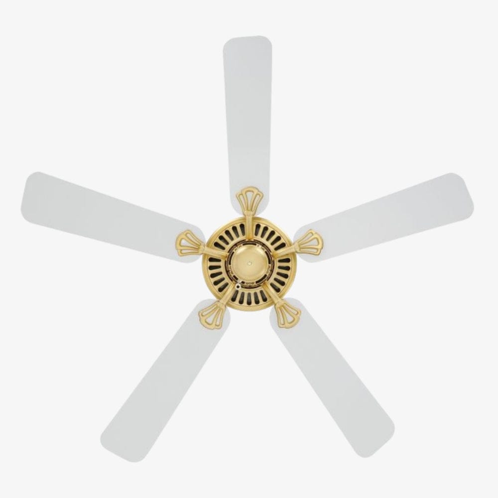 Without Light Waikiki Ceiling Fan Brass with White Blades