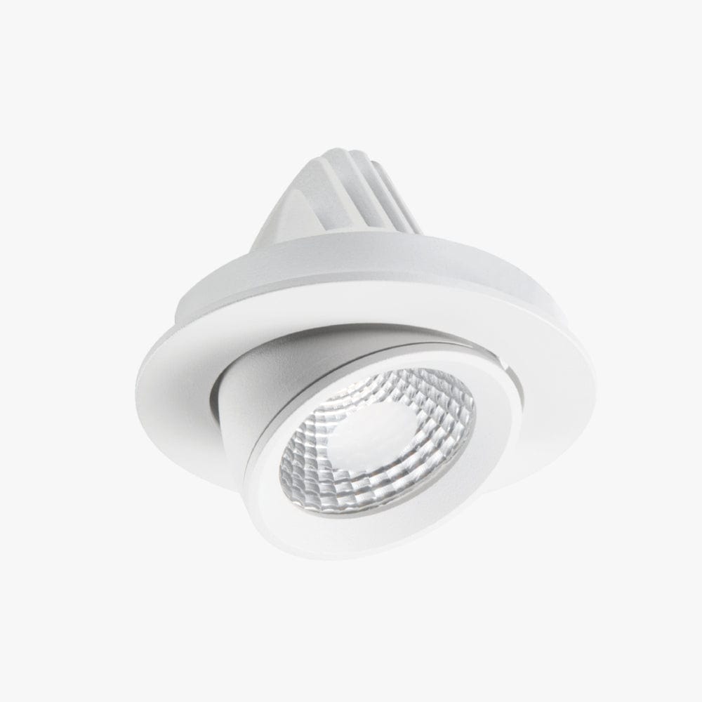 Recessed Apex Adjustable Down Light