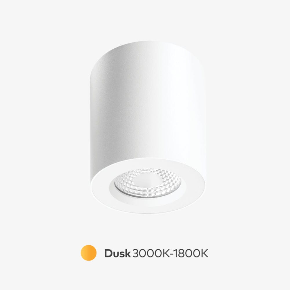 Surface Mounted Apex Dusk Surface Mounted Down Light