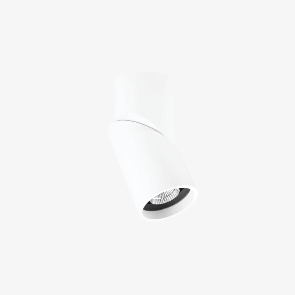 Surface Mounted Axis Surface Mounted Down Light