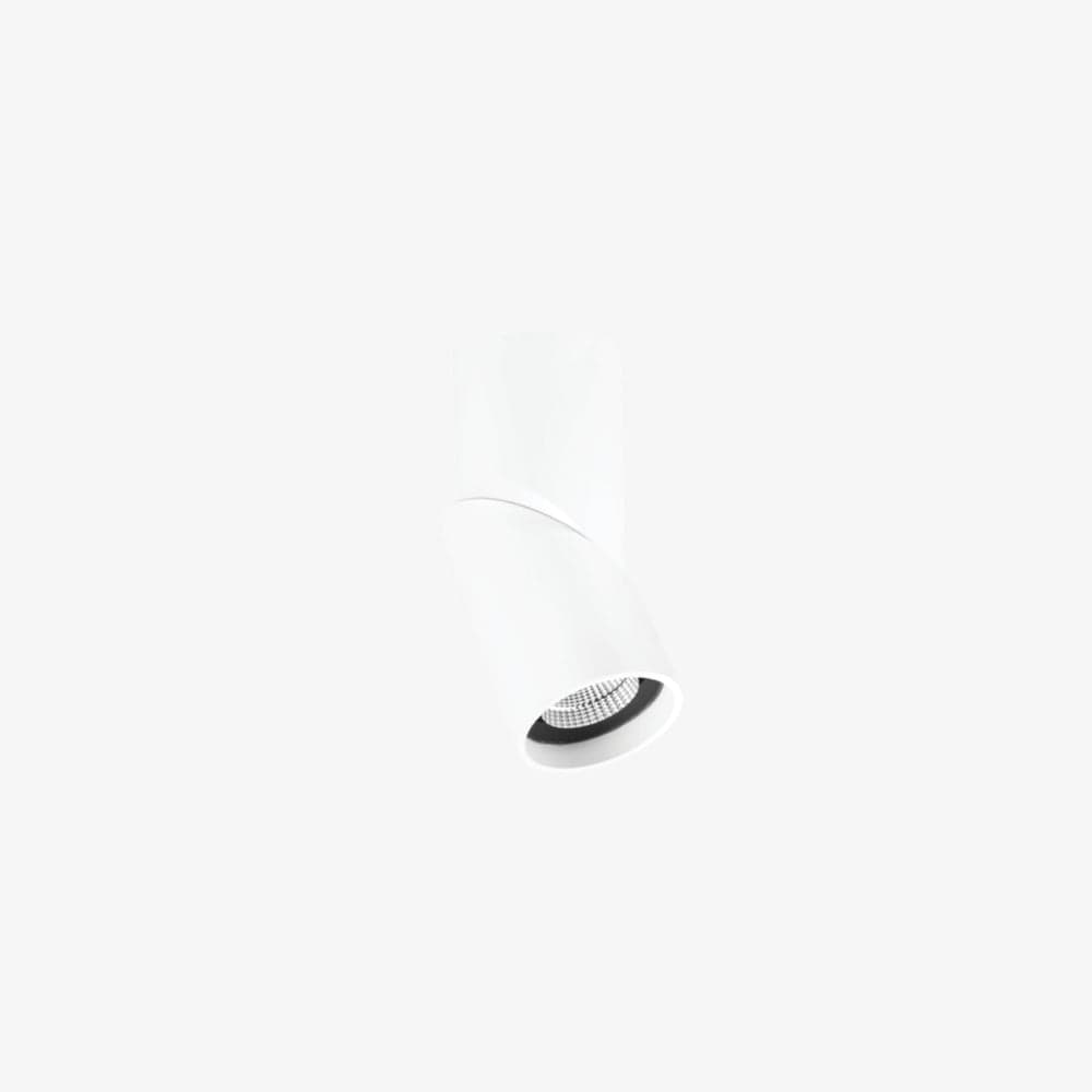 Surface Mounted Axis Surface Mounted Down Light