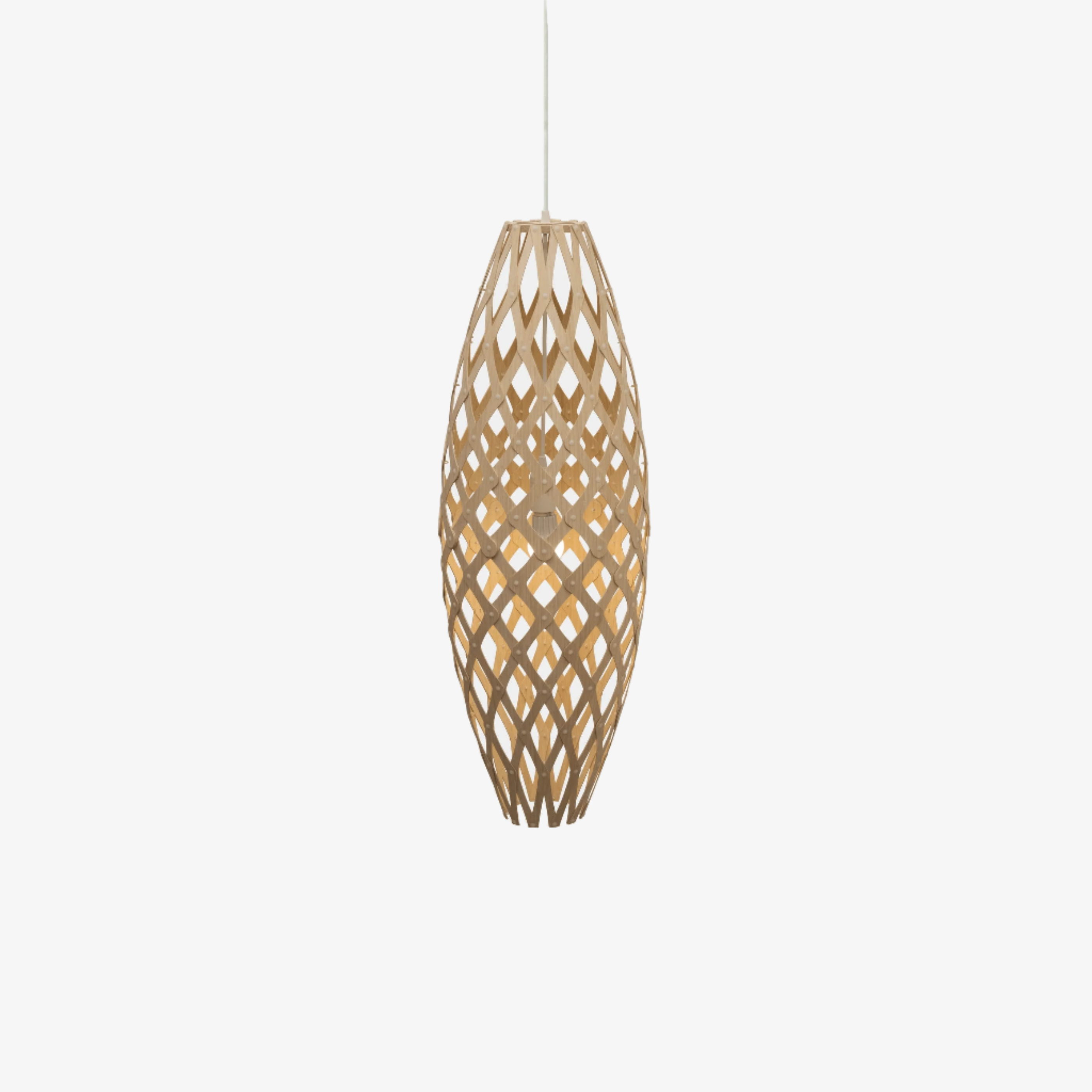 Interior Pendant Hinaki Pendant