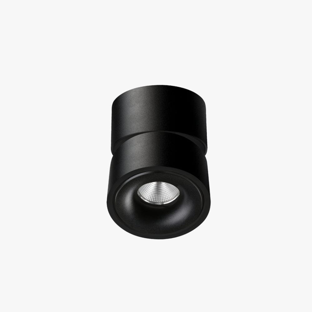 Surface Mounted Kinetic Surface Mounted Down Light
