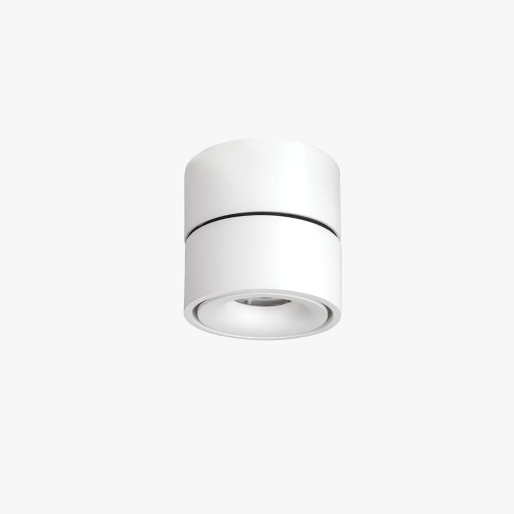 Surface Mounted Kinetic Surface Mounted Down Light