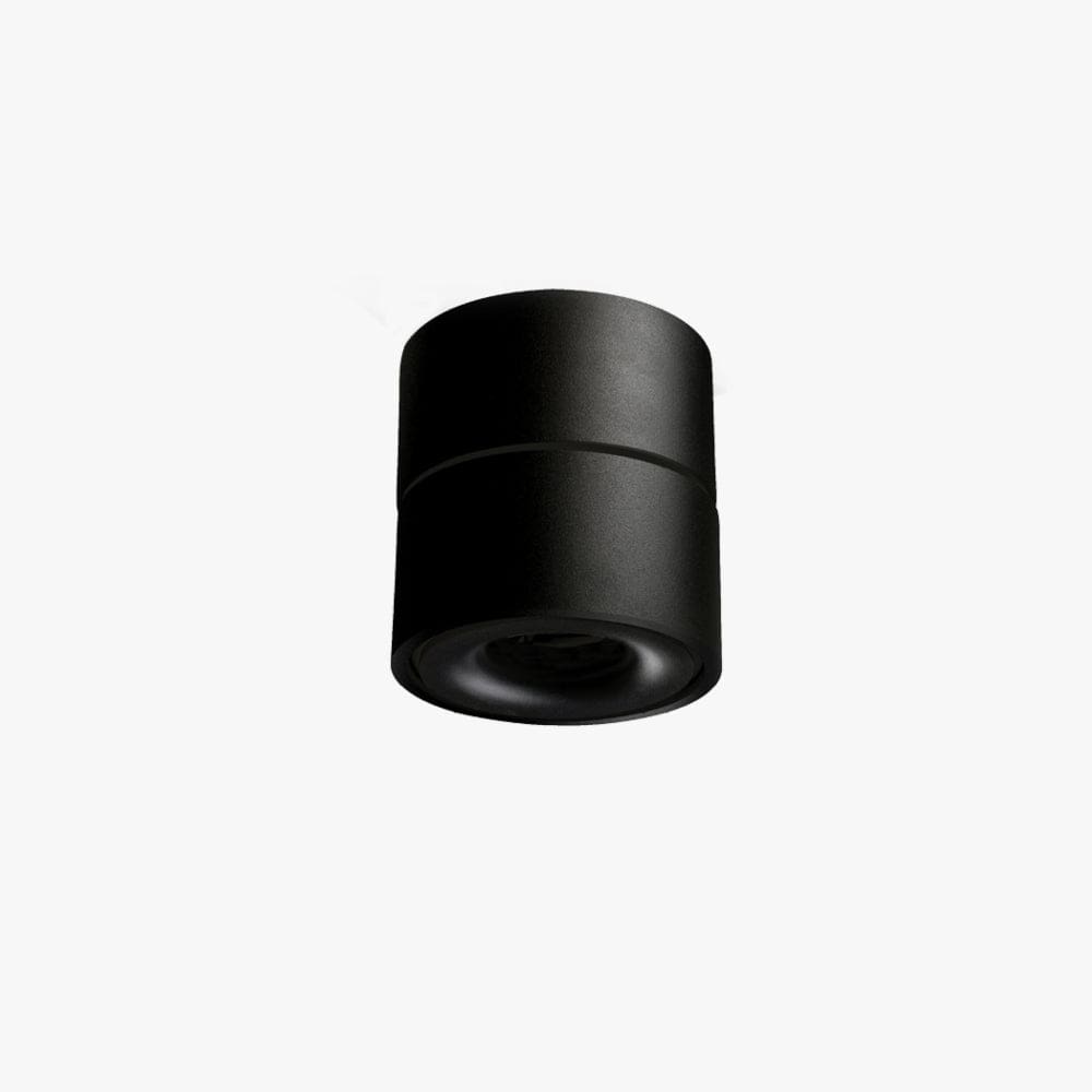 Surface Mounted Kinetic Surface Mounted Down Light
