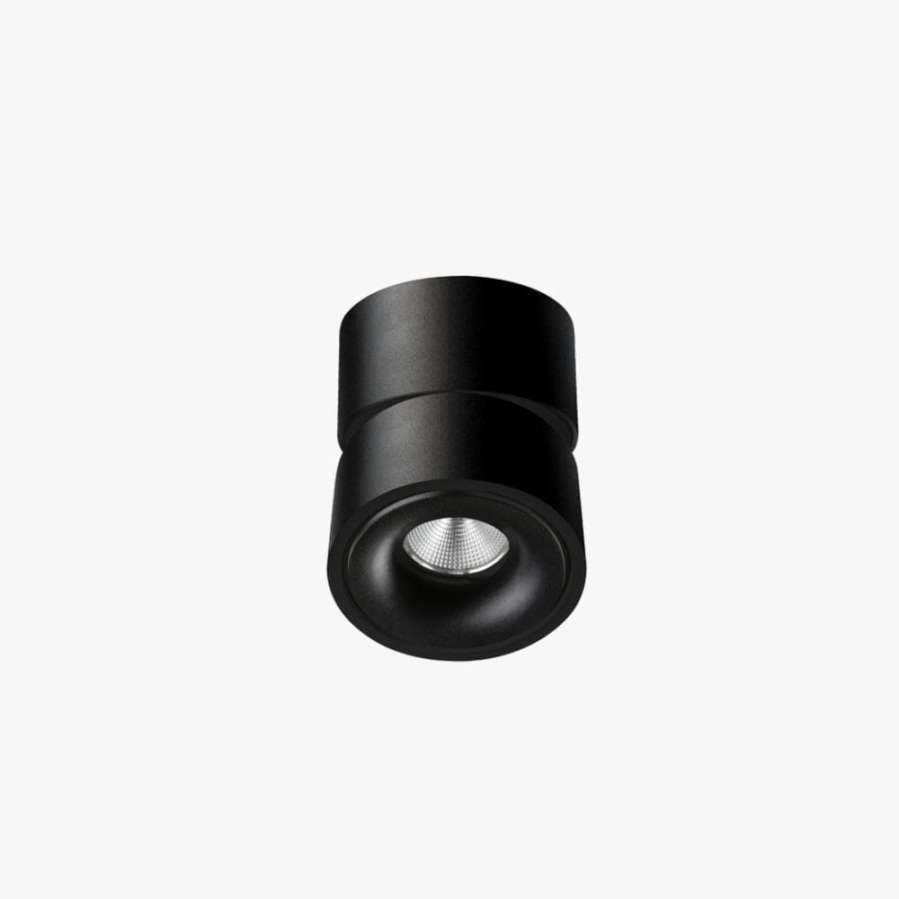 Surface Mounted Kinetic Surface Mounted Down Light