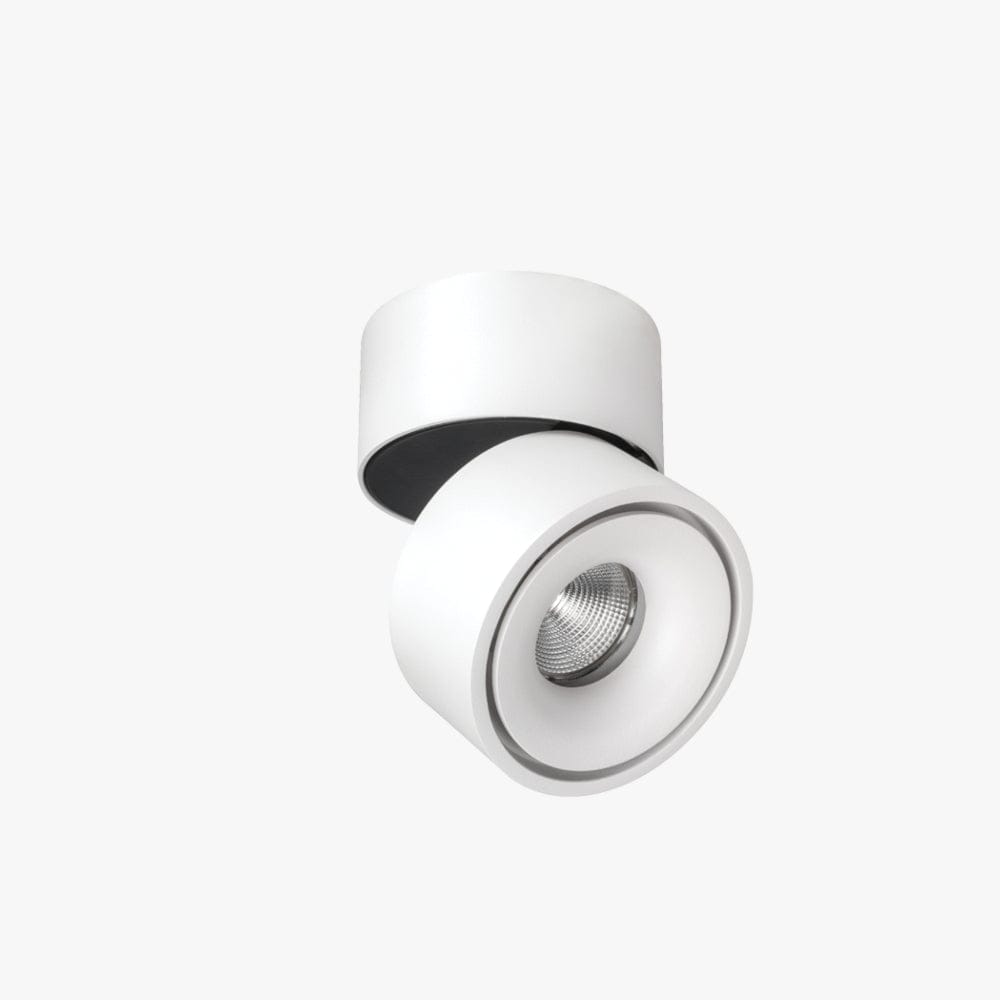 Surface Mounted Kinetic Surface Mounted Down Light