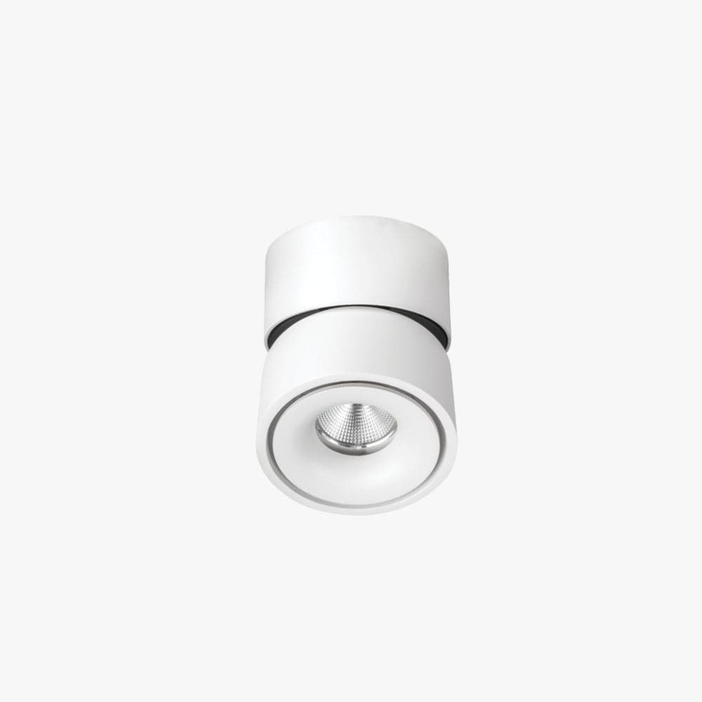 Surface Mounted Kinetic Surface Mounted Down Light