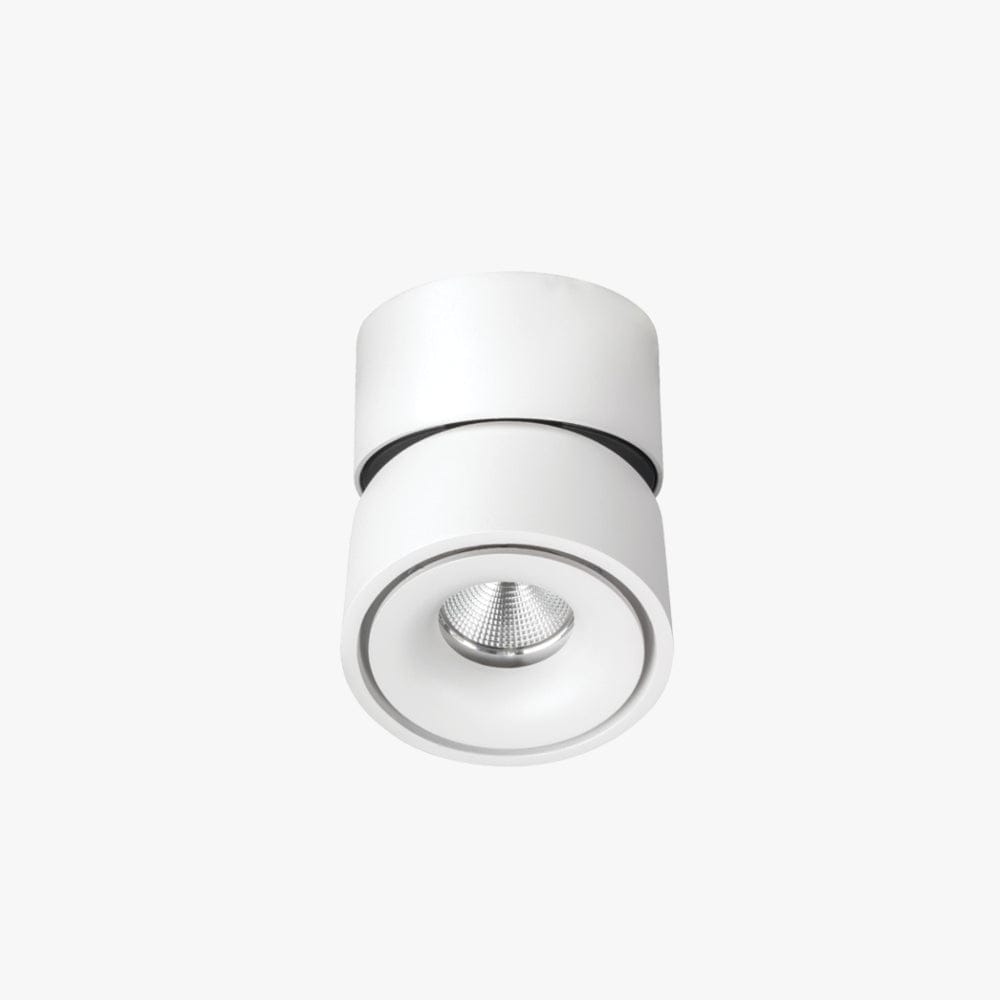 Surface Mounted Kinetic Surface Mounted Down Light