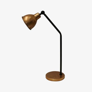 Task Lighting Lux Desk Lamp