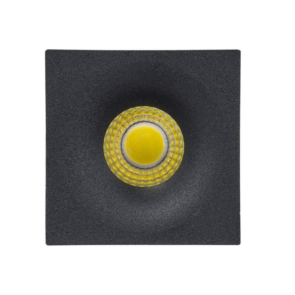 Niche downlight on sale