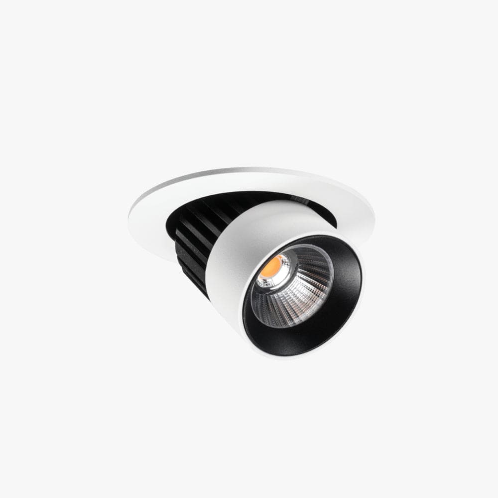 Recessed Switch Down Light