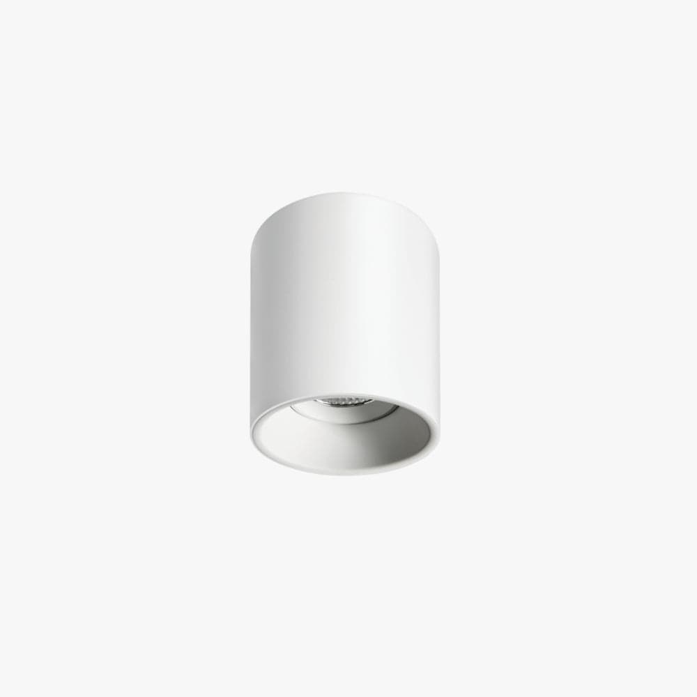 Surface Mounted Titanium Medium Surface Mounted Down Light