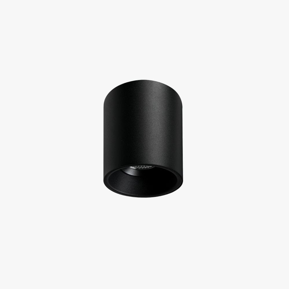 Surface Mounted Titanium Medium Surface Mounted Down Light