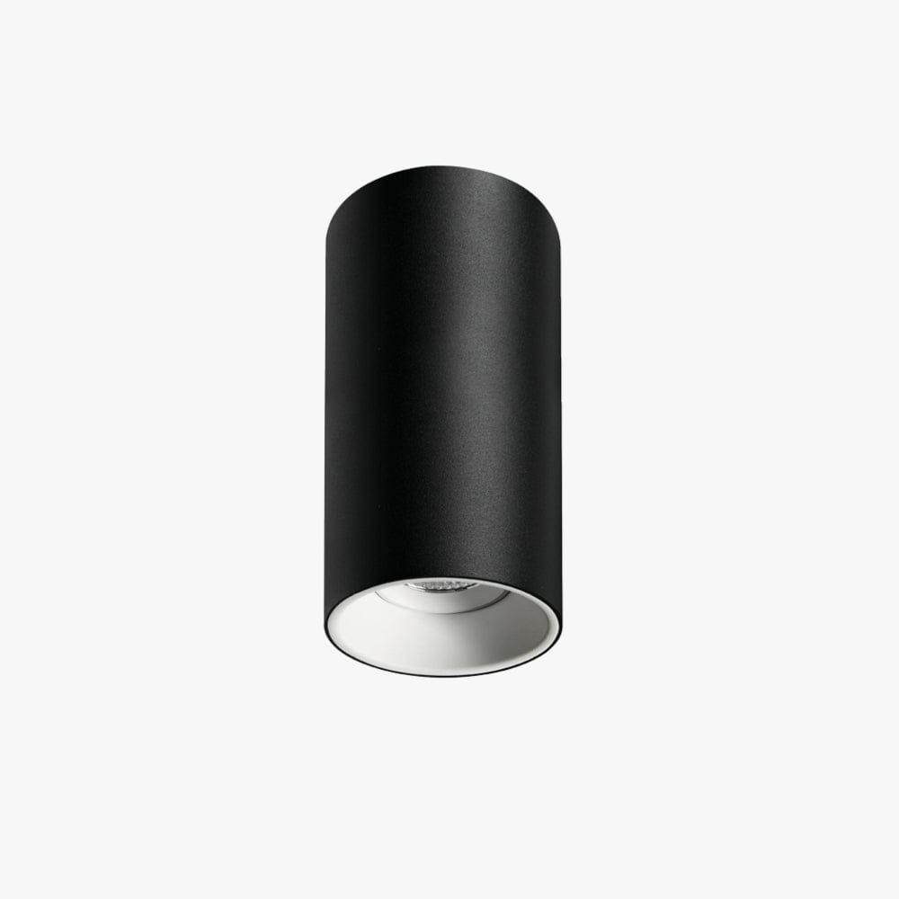 Surface Mounted Titanium Medium Surface Mounted Down Light