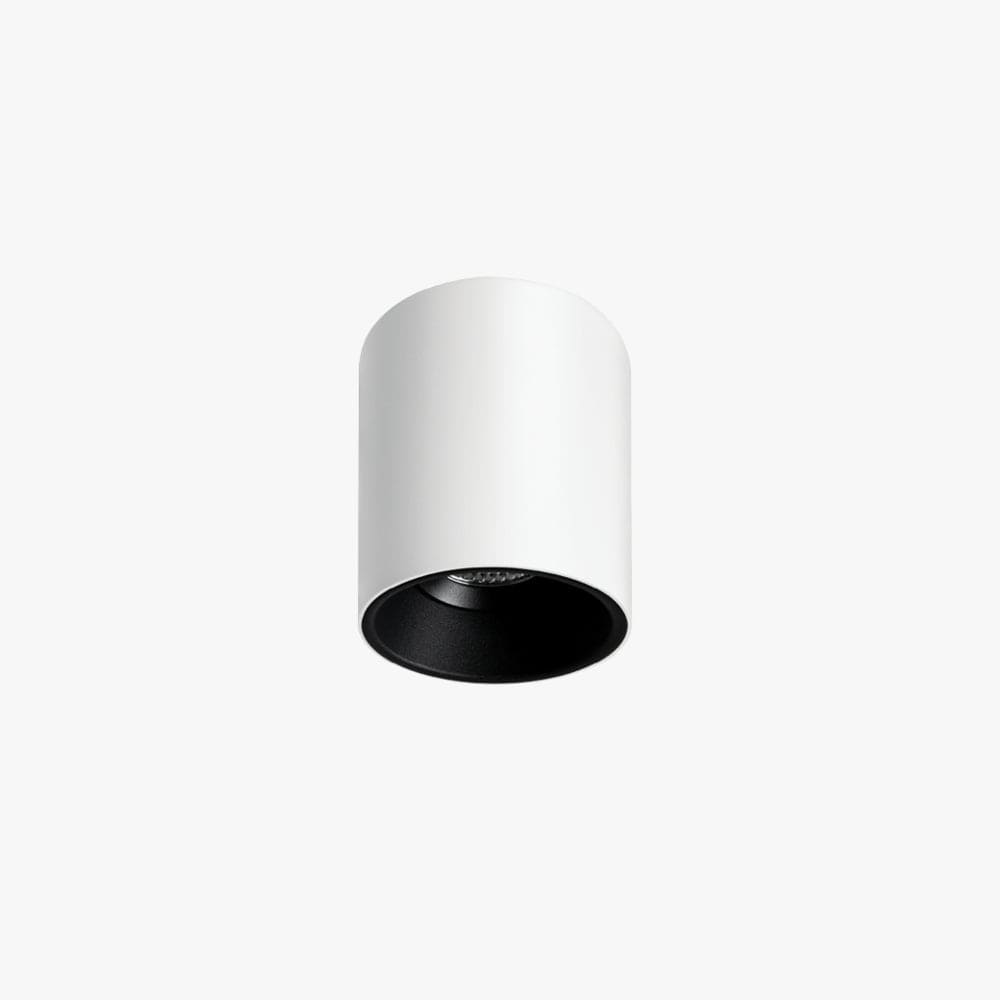 Surface Mounted Titanium Medium Surface Mounted Down Light