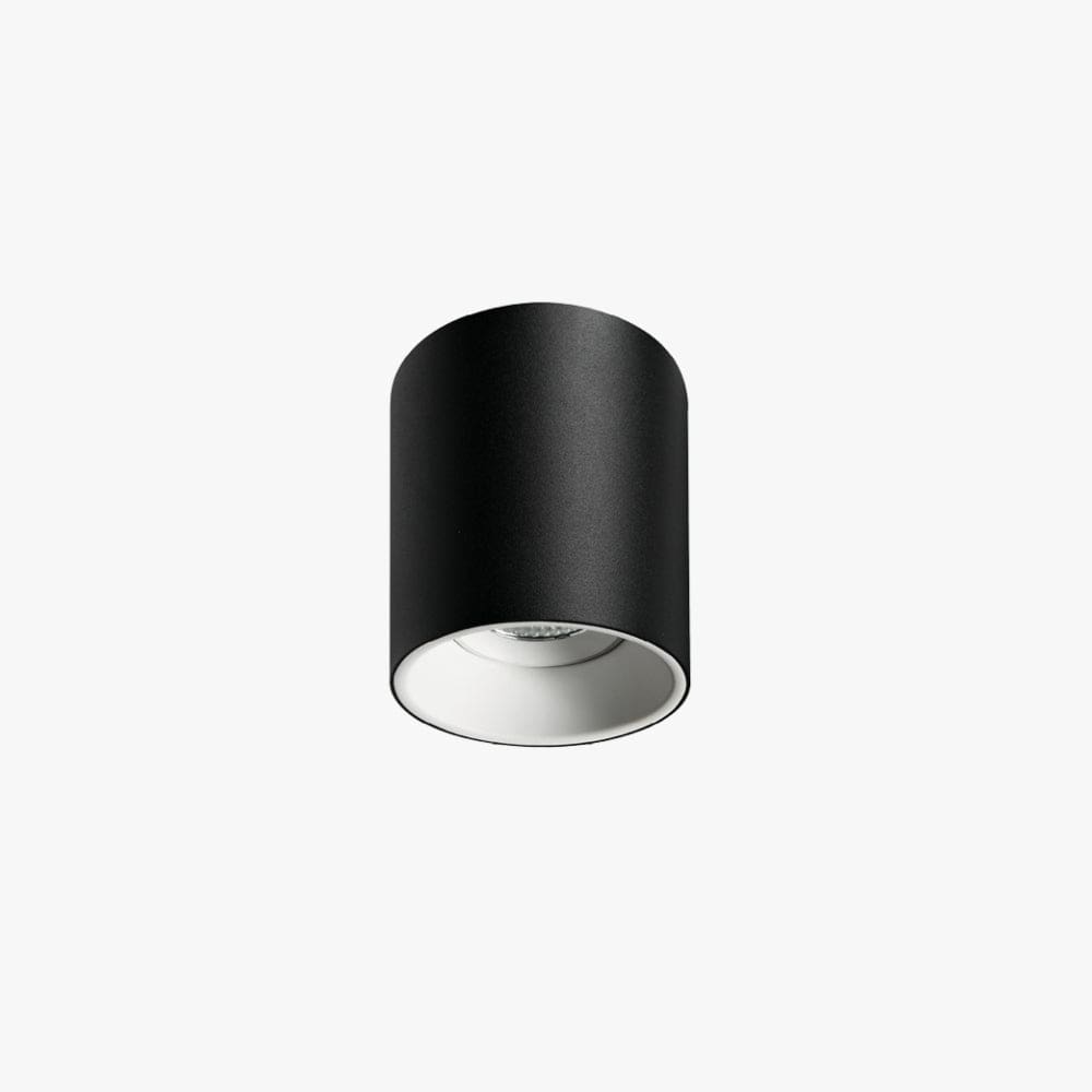 Surface Mounted Titanium Medium Surface Mounted Down Light