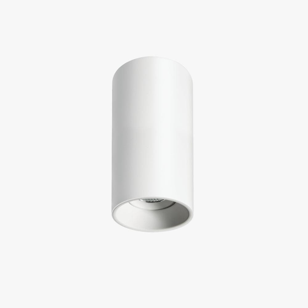 Surface Mounted Titanium Medium Surface Mounted Down Light