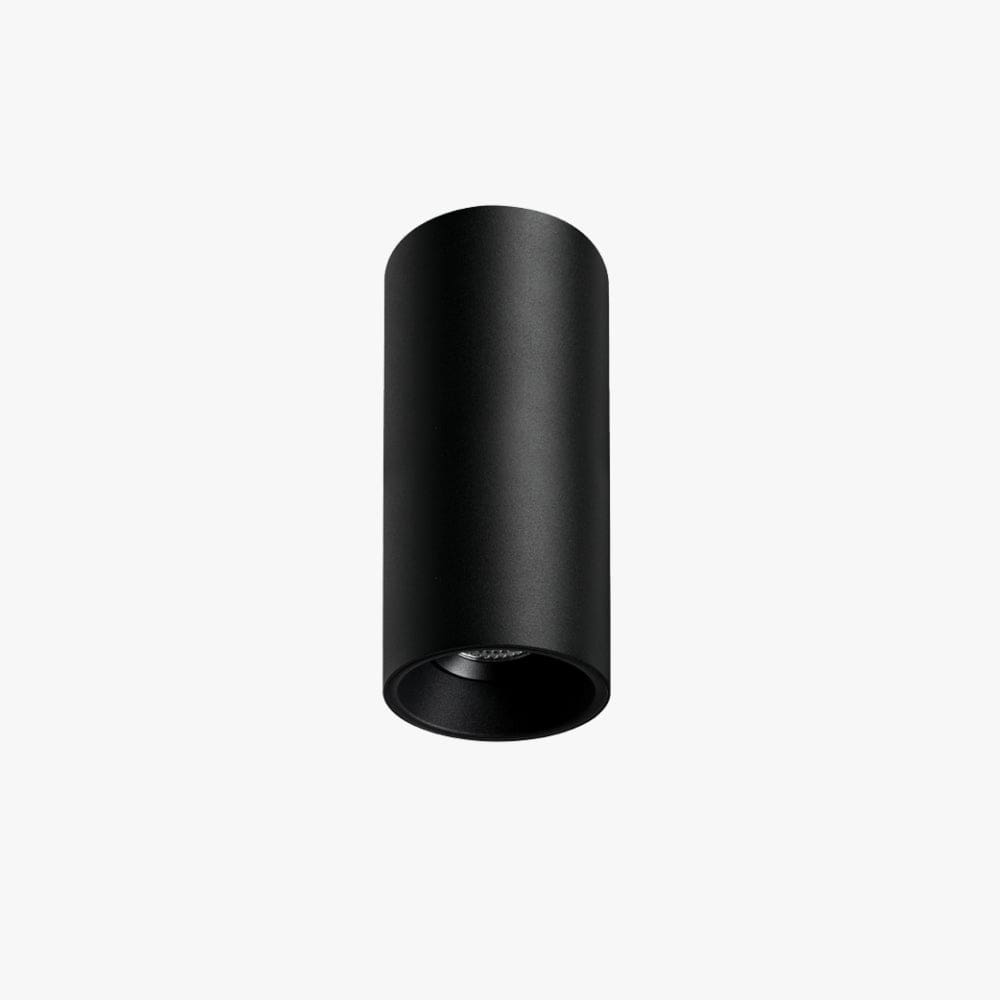 Surface Mounted Titanium Small Surface Mounted Down Light