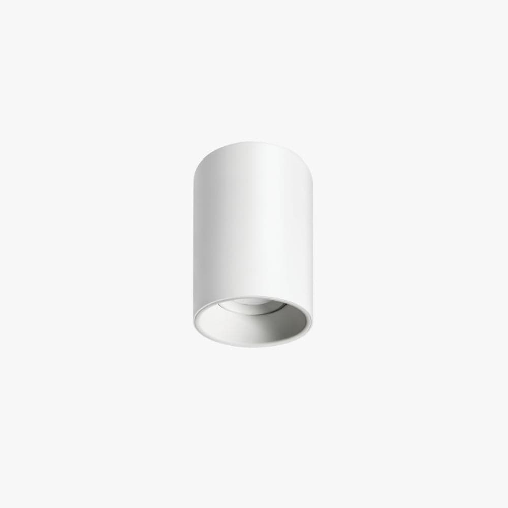 Surface Mounted Titanium Small Surface Mounted Down Light