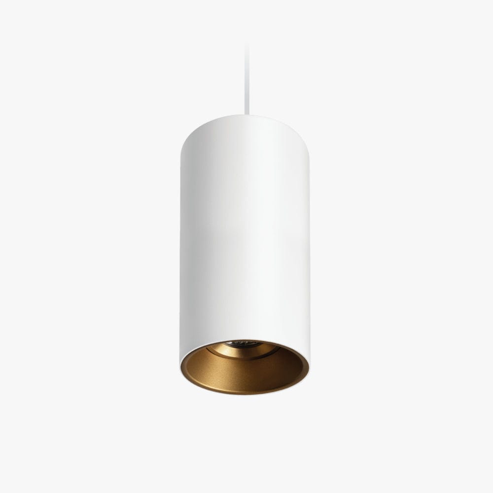 Interior Pendant Titanium Suspended Downlight