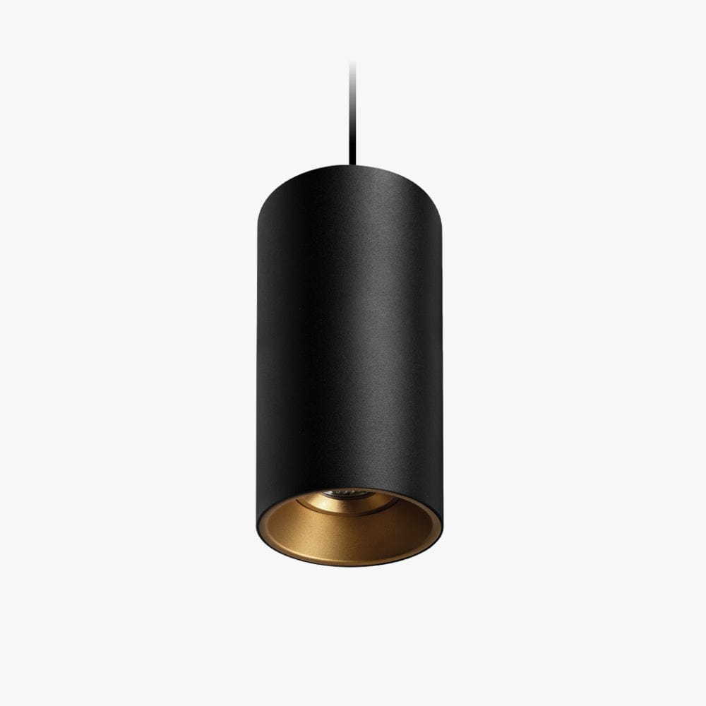Interior Pendant Titanium Suspended Downlight